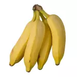 Banana Prata (palma)