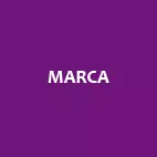 Desenvolvimento de marca