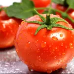 Tomate