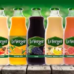 SUCO LEVERGER 290ML