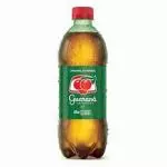 guarana antartica 600ml