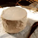 Queijo tipo Camembert