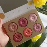 Paleta Pudin