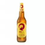 Skol Garrafa 600 ml - Retornável