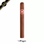 H. Upmann Majestic