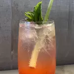GASIFICADO ROJO