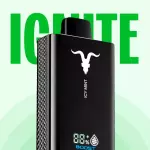 IGNITE V80 ULTRA - 8.000 PUFFS💨