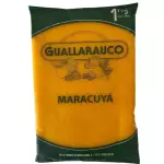 PULPA DE MARACUYÁ 1KG