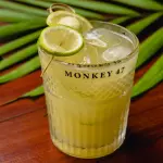 Mocktail Samadhi (Zero Álcool)