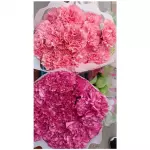 Flores variedad exotic