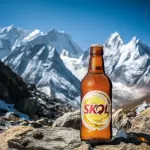Skol 300ml RET.