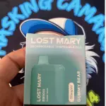 LostM- Gummy Bear 🧸🍭
