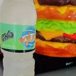 Agua limon chia