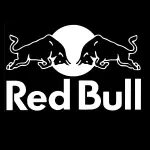 RED BULL TRADICIONAL E SABORES