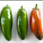 JALAPENOS