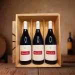 Vinho Mouchão Tinto 🇵🇹