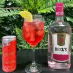 DOSE GIN ROCKS STAMBERRY C/ RED BULL