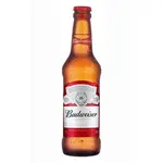 Budweiser Long Neck 330 Ml