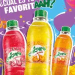 CONCORDIA 355ML