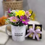 kit Marcia