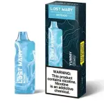 LOST MARY MO