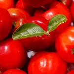 SUCO ACEROLA 300ML