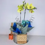 A438 Orquidea Phaleanopsis "Elegante