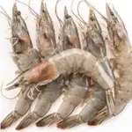 LANGOSTINOS