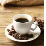 TINTO AMERICANO PEQUEÑO
