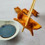 WONTON TERIYAKI