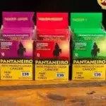 PAIEIRO PANTANEIRO