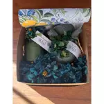 Box Kraft Sicília