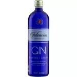 Gin Intencion London Dry 900ml