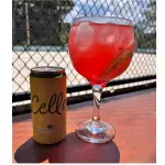 CAMPARICELLO SPRITZ