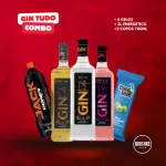 COMBO GIN TUDO