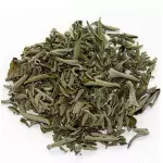 Salvia