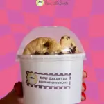 MINI GALLETAS CON CHOCOLATE CHIPS