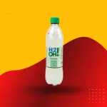 H2O limoneto (todos os sabores)
