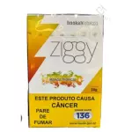Ziggy Manga Tropical