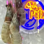 2KG DE CAMARÃO MÉDIO