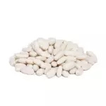FAVA BRANCA