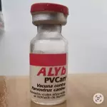 VACUNA CONTRA PARVOVIRUS CANINO
