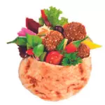 KEBAB DELIX