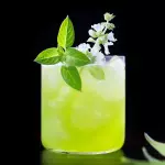 Gin Basil