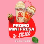 Promo mini fresas 14 Onz