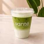 Matcha Sugar Free Foam Helado