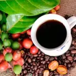 Café Orgânico 🆕