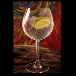Gin & Tonic