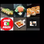 Japa 5/70 pçs salmão
