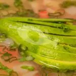 SOPA DUARTE